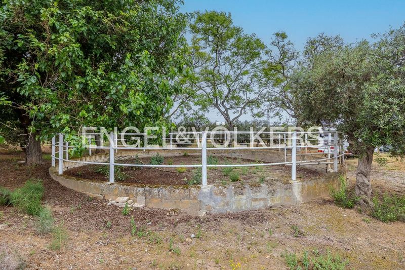 Foto e6b37a6d-cb49-40ce-8709-58c4242bbbb8. Masia amb calefacció piscina a Mairena del Alcor