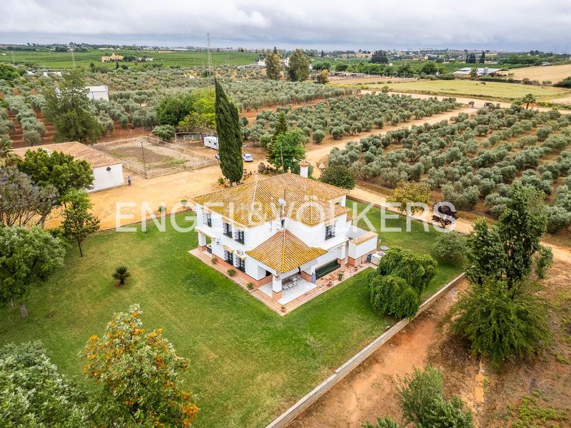 Foto fb73f212-4347-4baf-9448-b6313f8705fd. Masia amb calefacció piscina a Mairena del Alcor