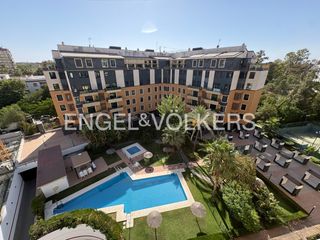Lloguer Àtic a Pedro Salvador - Las Palmeritas. Exclusivo ático con terraza privada en palmera parque
