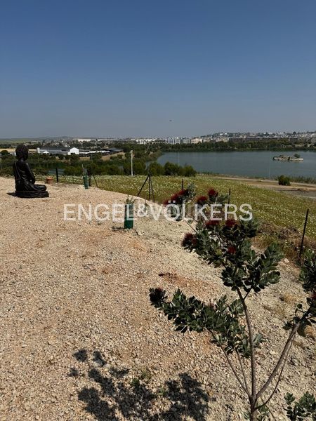 Foto dfbbf1e9-bddb-4142-97b6-cb67b26e5a30. Terreno residencial el privilegio de poseer un horizonte propio frente a la laguna de torrox en Jerez de la Frontera