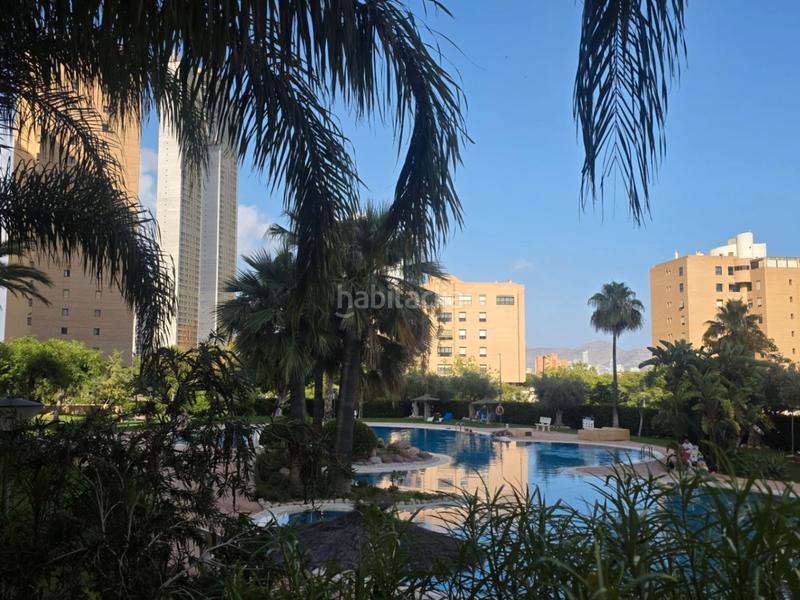 Foto 9df88c74-c72e-4cf3-a62c-89ed6dea12da. Apartamento en Playa Poniente Benidorm