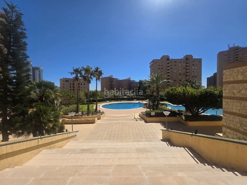 Foto 87af8616-8e6e-4e6e-82ef-b9b543ab5467. Apartament amb aparcament piscina a Playa Poniente Benidorm