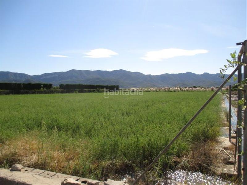 Foto 1260e316-3bc0-4b16-a6da-cba1300509fd. Rural plot in El Marenyet Cullera