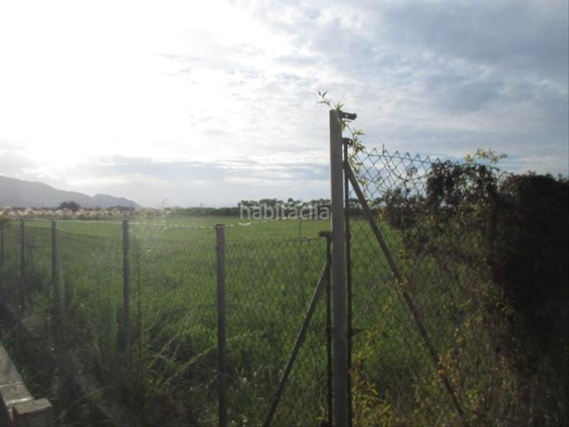 Foto 62a76fc5-3c6d-4737-a554-b5d12aff2ce9. Rural plot in El Marenyet Cullera