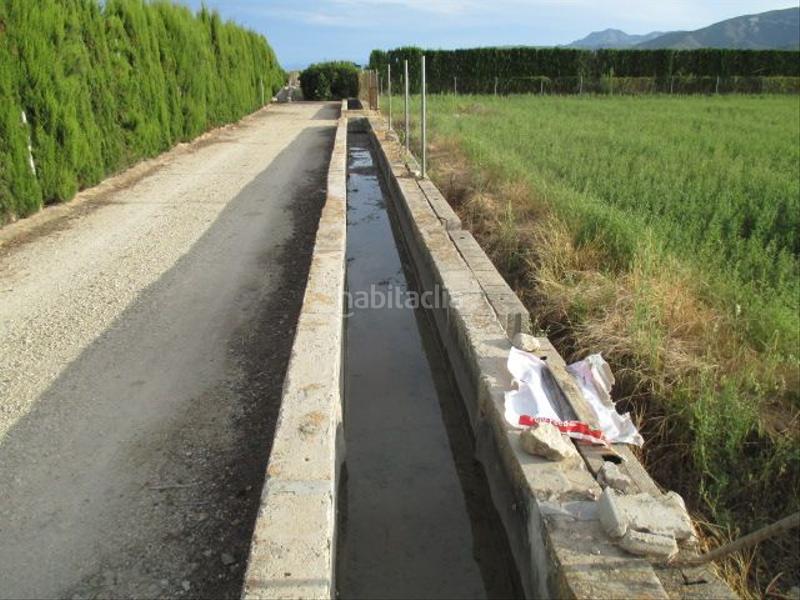 Foto c7d870cd-cebc-4657-a15d-d2c9bc5d8037. Rural plot in El Marenyet Cullera