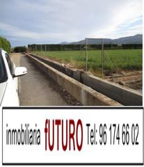 Finca rústica a El Marenyet. Tierra huerta brosquil