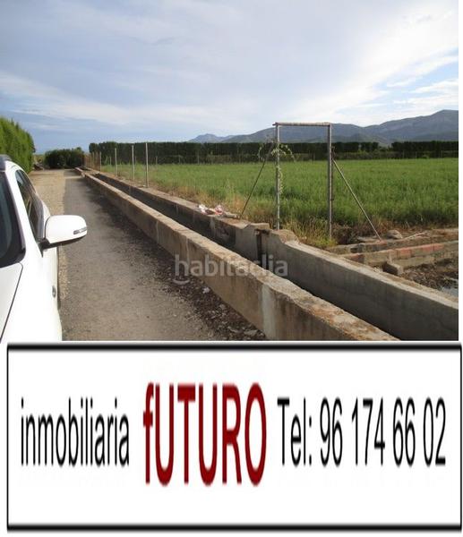 Foto ed283a2c-a748-41d5-9861-5e44cb49b982. Rural plot in El Marenyet Cullera