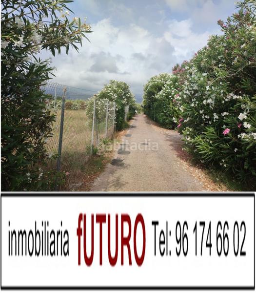 Foto 176915a3-f1c4-4bca-ba48-67ecd2f98380. Fondo rustico in El Marenyet Cullera