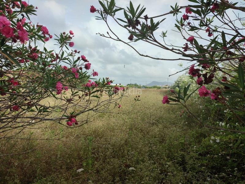 Foto 7b1d16d3-222b-46f3-b876-718e32df1454. Fondo rustico in El Marenyet Cullera