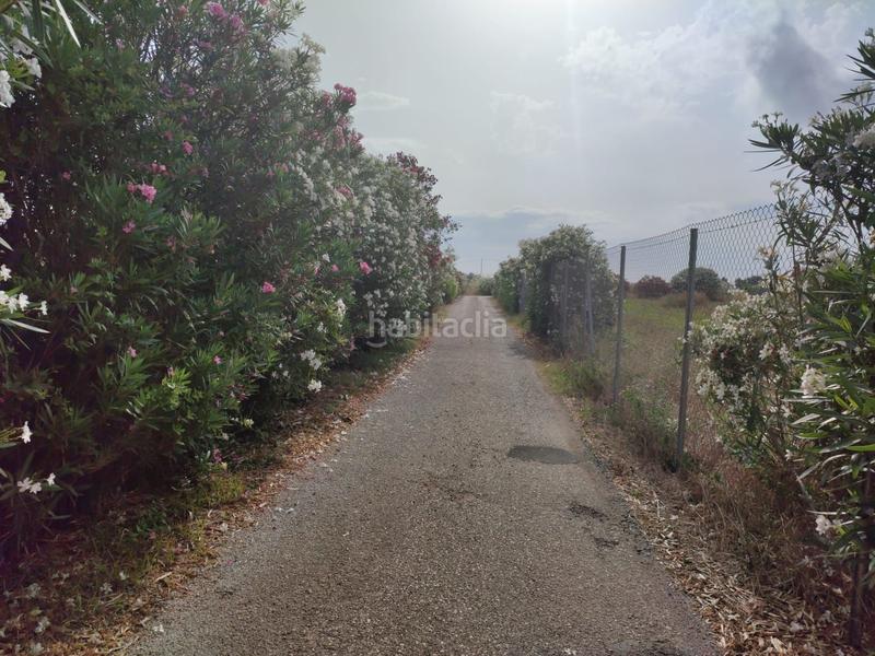 Foto c829416d-030d-4fd5-86e0-a04ddfa3fbf1. Fondo rustico in El Marenyet Cullera