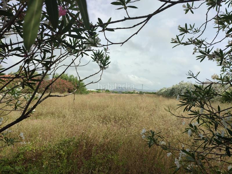 Foto d1492aa3-c8b7-4bd2-8311-ef85d9c4cd00. Fondo rustico in El Marenyet Cullera