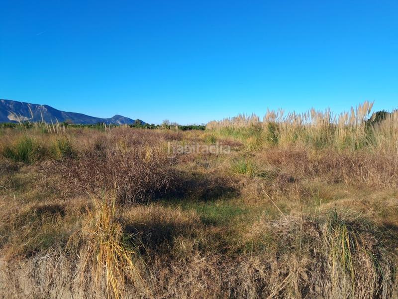 Foto 9b69a5e3-b3e8-4b66-821b-fa5752421040. Rural plot in Bulevar del Xúquer Cullera