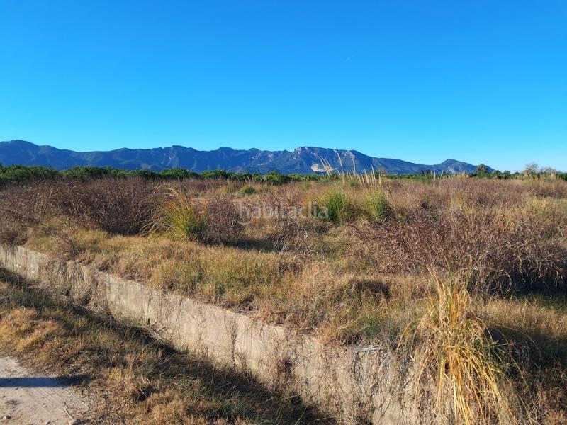 Foto af0b0351-cf93-4d5a-a5fa-c0043be17e69. Rural plot in Bulevar del Xúquer Cullera