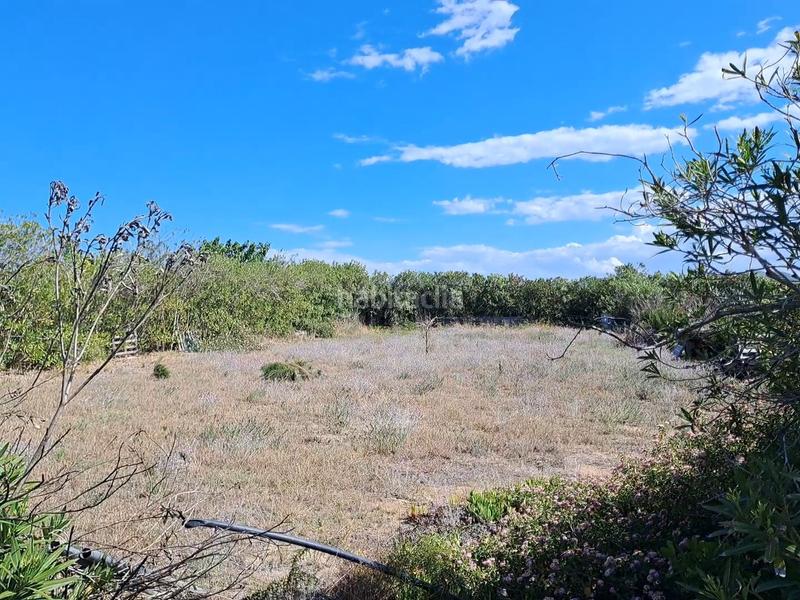 Foto 673ca7f2-4b32-405c-879b-a664ef4c0e80. Rural plot in El Dossel - Mareny de San Lorenzo Cullera