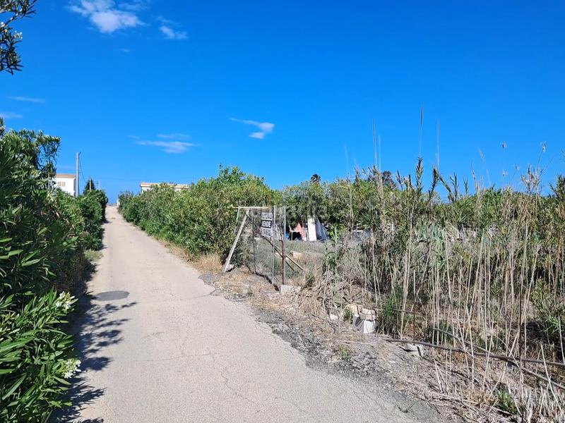 Foto 71d9768c-a721-4ca8-9886-e8d84c8e9ae5. Rural plot in El Dossel - Mareny de San Lorenzo Cullera