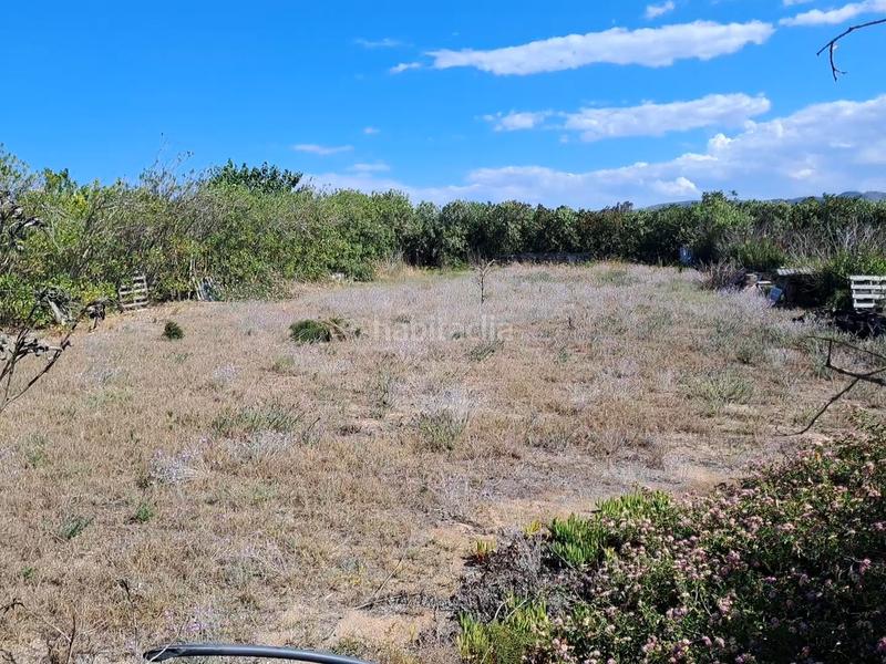 Foto 7357726e-a7ef-4ea3-88ad-2c48b6173957. Rural plot in El Dossel - Mareny de San Lorenzo Cullera