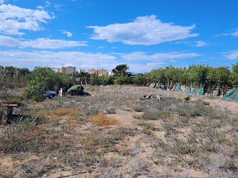 Foto 7fb4d0a6-1568-4d1a-8440-449a8a6cbe33. Rural plot in El Dossel - Mareny de San Lorenzo Cullera