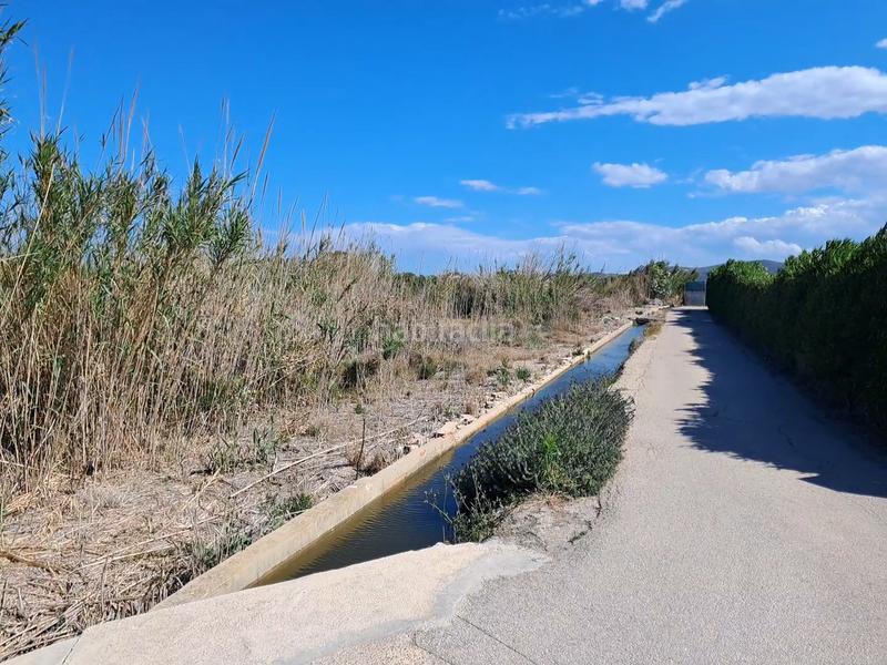 Foto 896c9d60-feed-4c4c-a0f7-f80beb78ab0b. Rural plot in El Dossel - Mareny de San Lorenzo Cullera