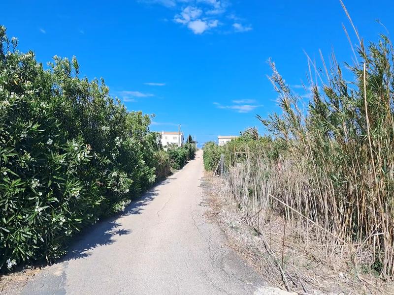 Foto b7a84543-1de5-41d5-bb44-a3273b0831e1. Rural plot in El Dossel - Mareny de San Lorenzo Cullera