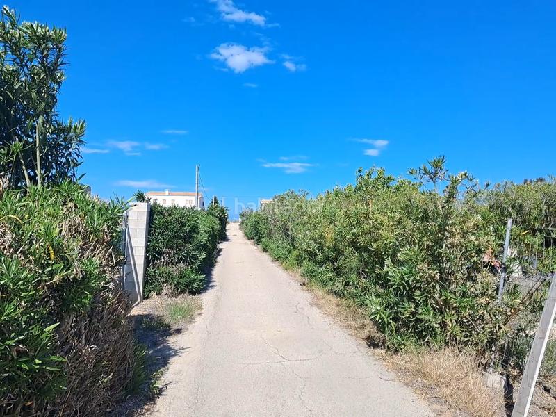 Foto ee0927d5-0137-4227-8163-90d57b8a6e35. Rural plot in El Dossel - Mareny de San Lorenzo Cullera