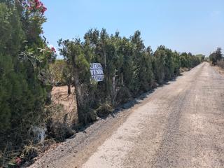 Finca rústica a El Marenyet. Tierra huerta brosquil - entrá del piló