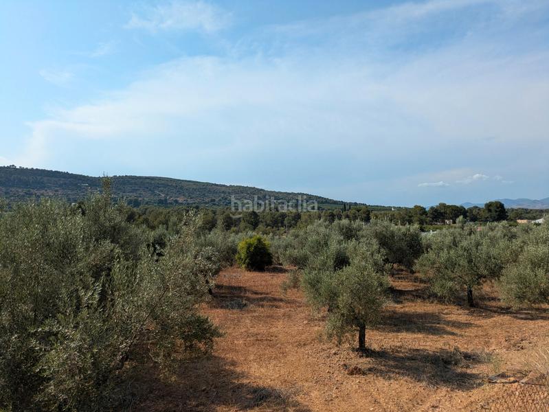 Foto 08774f33-5fc6-4038-a150-9662759998de. Fondo rustico in Algímia de Alfara