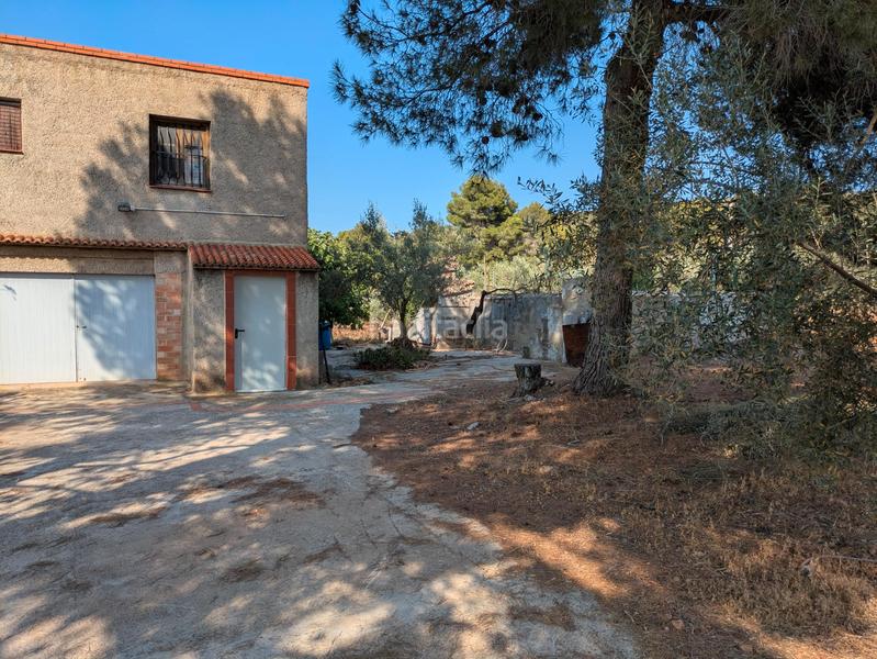 Foto 10ad77ec-c627-42ae-8fc1-9b4c7be3c72b. Fondo rustico in Algímia de Alfara