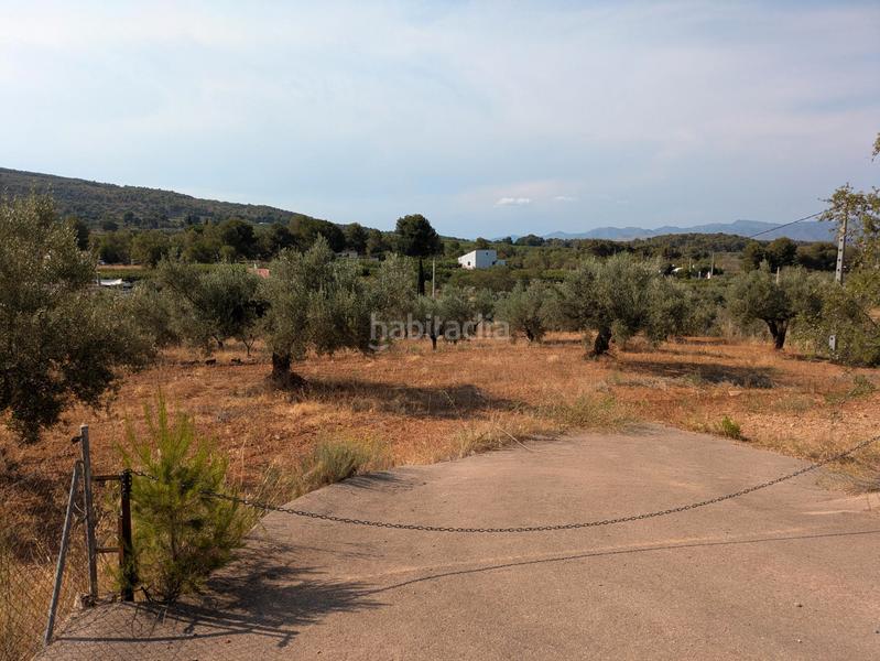 Foto 1c1b7c9a-a1ee-4dfa-a1de-74f22e093af1. Fondo rustico in Algímia de Alfara