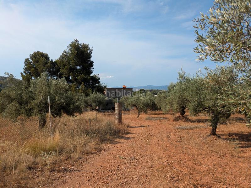 Foto 1ccef59d-3856-472a-a3cd-0316c7a4f479. Fondo rustico in Algímia de Alfara