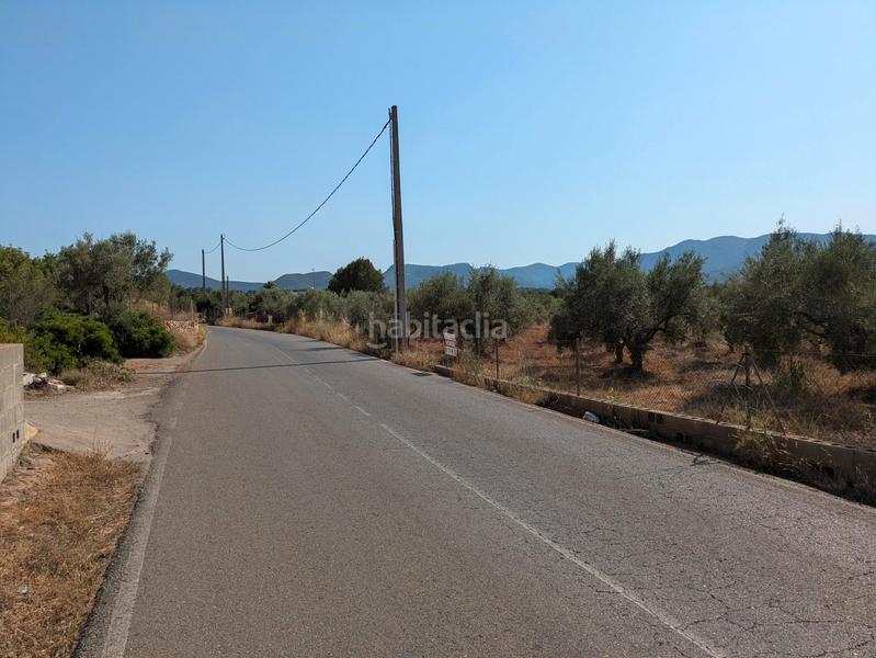 Foto 32e564d4-1687-4c83-bdf7-a57a8e71cb5d. Fondo rustico in Algímia de Alfara