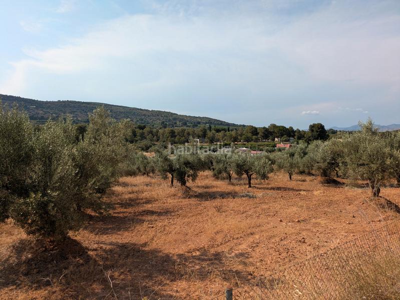 Foto 524fcf83-7592-4bd2-adfd-bd4fa1382f54. Fondo rustico in Algímia de Alfara