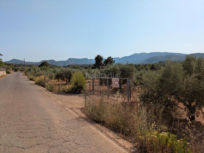 Foto 5d55f63e-991e-4bae-a4e2-ab6bf3fd1c9a. Fondo rustico in Algímia de Alfara