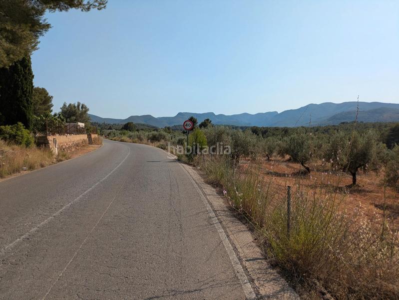 Foto b18c302f-ae4f-4ec3-b3d7-57fe3499e85e. Fondo rustico in Algímia de Alfara