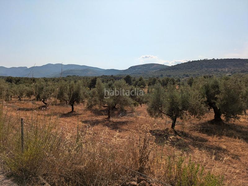 Foto b7329dae-eac0-409e-9bbc-b2e2ed44ca52. Fondo rustico in Algímia de Alfara