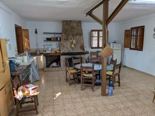 Masia a Algímia de Alfara. Casa rural en algimia de alfara en gran parcela de olivos