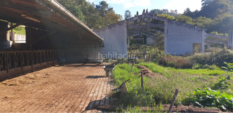 Foto 6f5dba94-b618-4ab3-b243-a84a7bf12725. Nau industrial a Corvera de Asturias