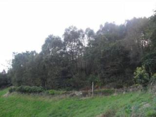 Finca rústica a Navia. Venta de parcela rustica en el vidural, navia