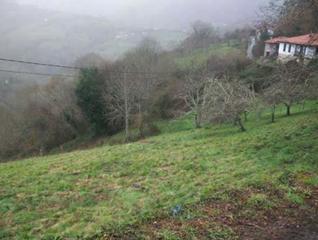 Terreny residencial a Piloña. Venta de parcela en nucleo rural en la vega, piloña