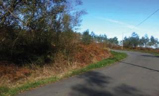 Rural plot in Ribadesella