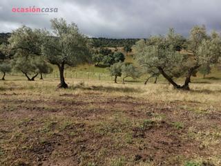 Masia a Villanueva de Córdoba. Finca de olivos con sondeo