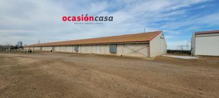 Bâtiment à usage industriel à Pozoblanco. Nave para pollos en venta en pozoblanco