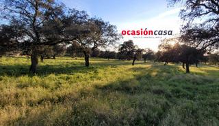 Masia a Pozoblanco. Encinar con nave en venta