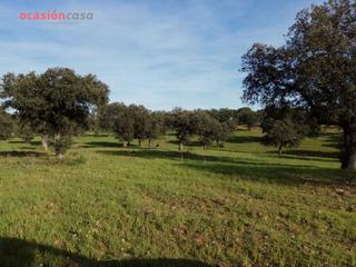 Masia a Alcaracejos. Venta de finca en alcaracejos