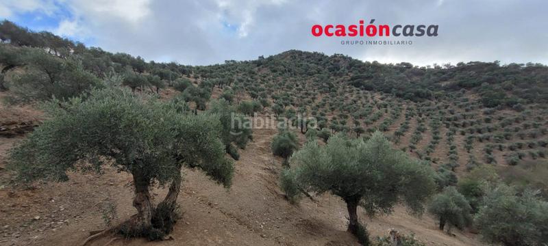 Foto 562aaaad-0baa-4e3d-9e13-84bf6cbb9064. Masia a Pozoblanco