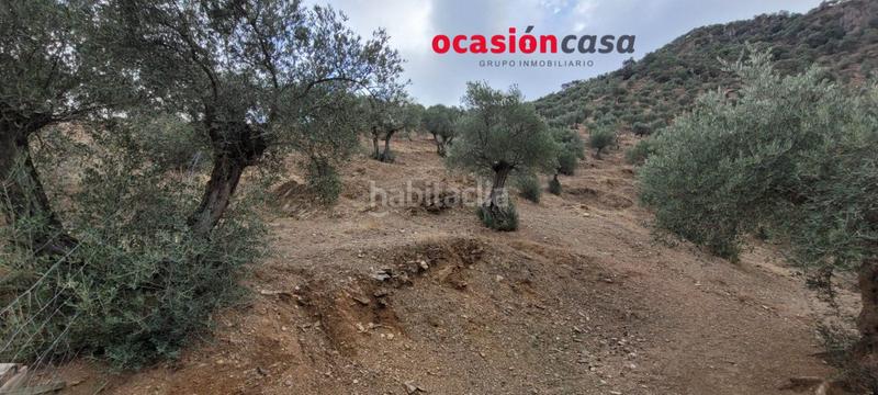 Foto 73607191-da7c-4780-8f95-07008fd658be. Masia a Pozoblanco