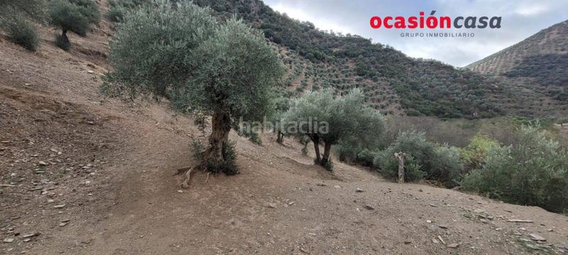 Foto 9dd54eb6-f9a8-48bb-83a7-7012bfc8dd64. Masia a Pozoblanco