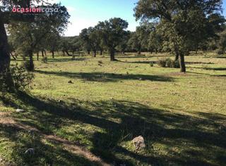 Masia a Torrecampo. Finca de dehesa