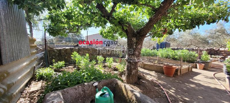 Foto 0a52dbd0-da9e-4b95-b0fb-d56345747bd7. Piso  con patio propio en Añora