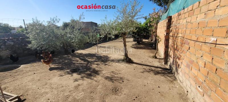 Foto 1d8af180-9fb8-44fe-a272-b92ea348dfc8. Piso  con patio propio en Añora