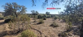 Terreny residencial a Villanueva del Duque. Se vende parcela a pie de carretera en el calatraveño